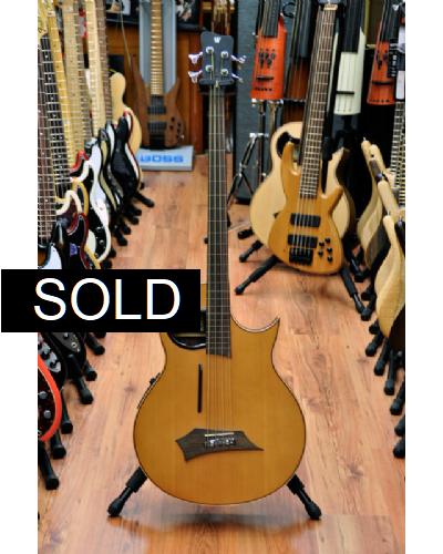 Warwick Alien Fretless w Lines